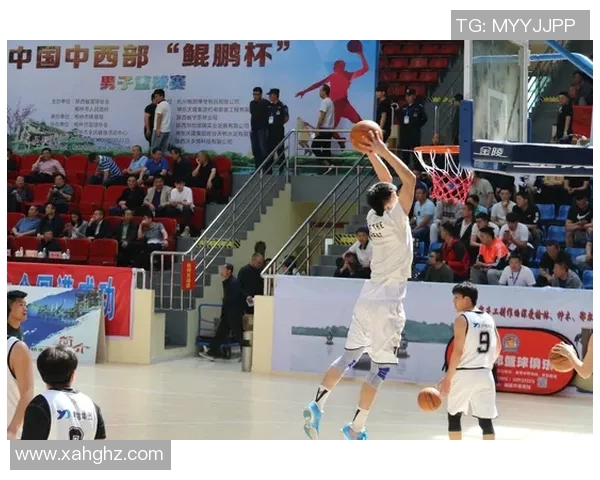 重庆篮球队技术表现的数据分析与战术优化研究 重庆篮球队技术表现的数据分析与战术优化研究